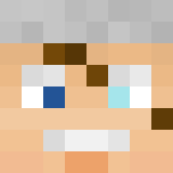 Minecraft players skin