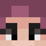 Minecraft players skin