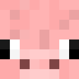 Tête de pigco0204