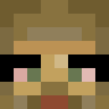 Minecraft players skin