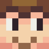 Minecraft players skin
