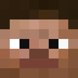 Minecraft players skin