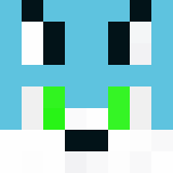 Minecraft players skin