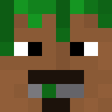 Tête de MrDewni