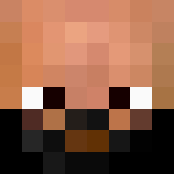 Tête de agentmaxime