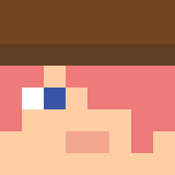 Minecraft players skin