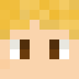 Minecraft players skin