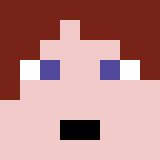 auctioneer icon