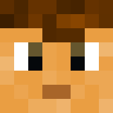 Minecraft players skin