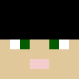 Minecraft players skin