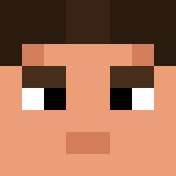 Minecraft players skin