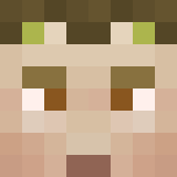 Minecraft players skin