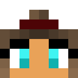Minecraft players skin