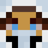Minecraft players skin