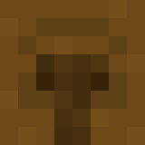 auctioneer icon