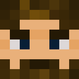 Minecraft players skin