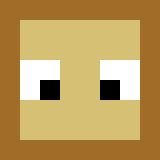 Minecraft players skin