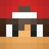 Tête de MaxiiCraft