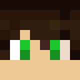 Minecraft players skin
