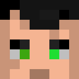 auctioneer icon