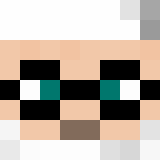 plopkoek69 Minecraft Skin