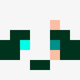 auctioneer icon
