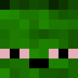 Minecraft players skin