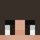 Minecraft players skin