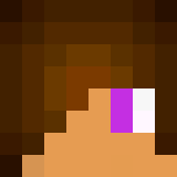 Minecraft players skin