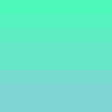 _AuroraOwl_