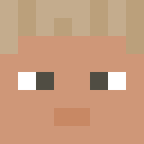 Minecraft players skin