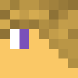 Minecraft players skin