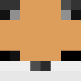 auctioneer icon