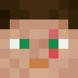 bidder minecraft icon