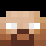 Minecraft players skin