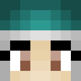 Minecraft players skin