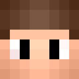 Tête de LeJoueurBuildUhc