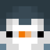 electriq1000 Skin