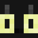 20pi