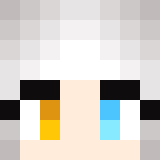 Minecraft players skin