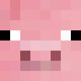 Minecraft players skin