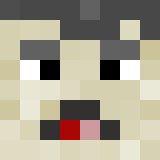 bidder minecraft icon