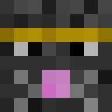 auctioneer icon