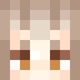 Minecraft players skin