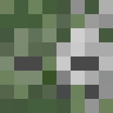 auctioneer icon
