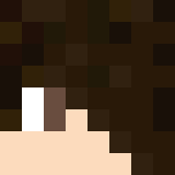 Minecraft players skin