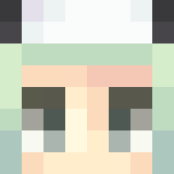 Minecraft players skin