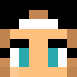 Minecraft players skin