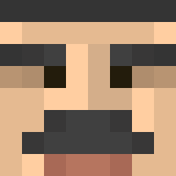 Minecraft players skin