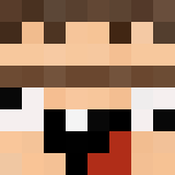 ENDERVOID1754